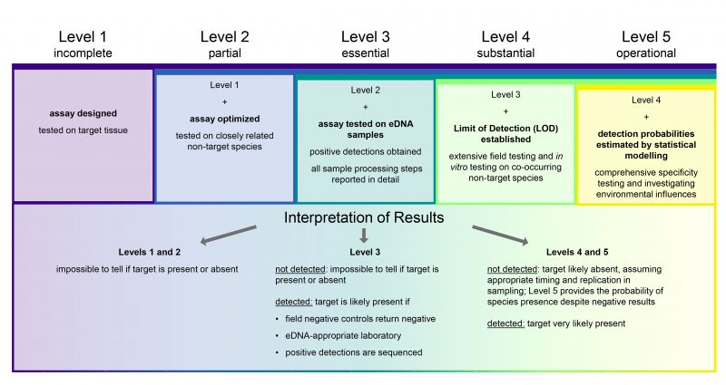 EDNA Validation – EDNA Validation Scale | A Simple Framework